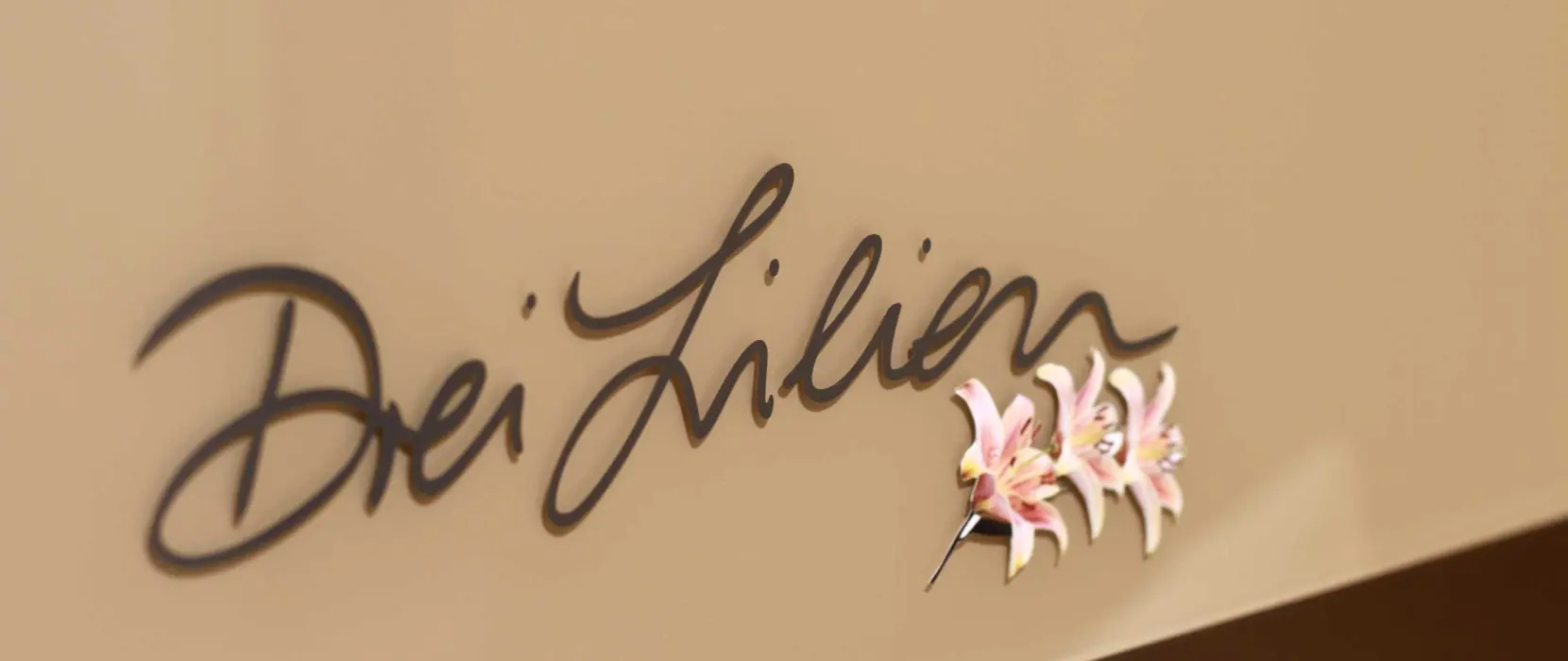 Kontakt zum Hotel Restaurant Drei Lilien in Vohenstrau&szlig;